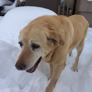 Meet your Posher, Mackenzie